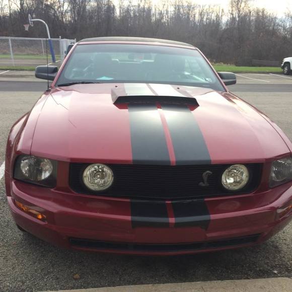 Meet your Posher, Jeff - Picture 1 of 1